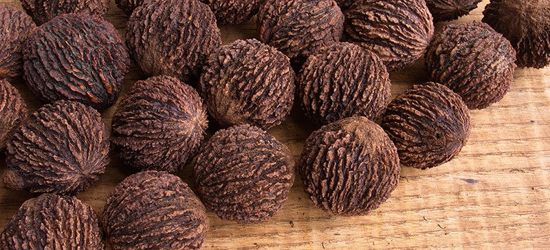 Black Walnut